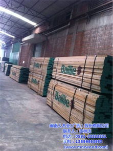 绿色生态板十大品牌 闽南人木业