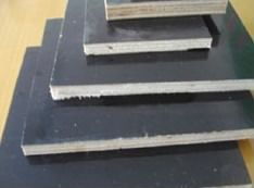 中通建材 构筑未来的坚固基石